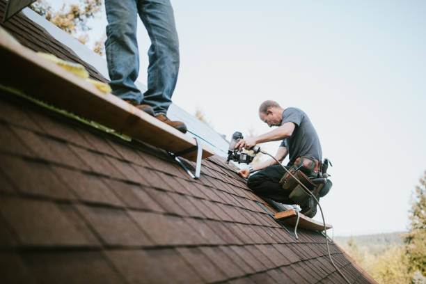 Best Roof Gutter Cleaning  in Sharon, MS
